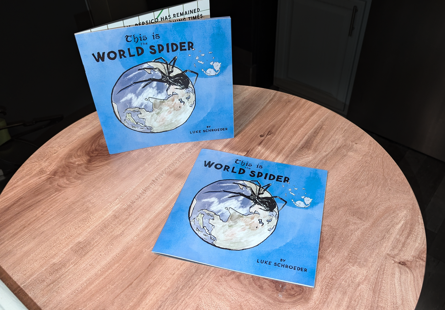 This Is The World Spider